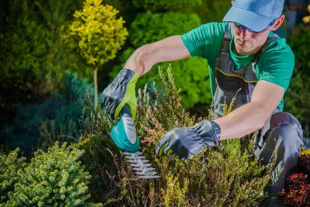 landscaping services Lockport